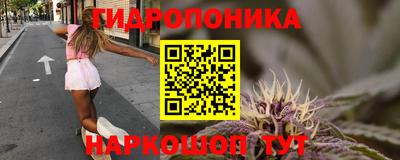 крисы Обнинск